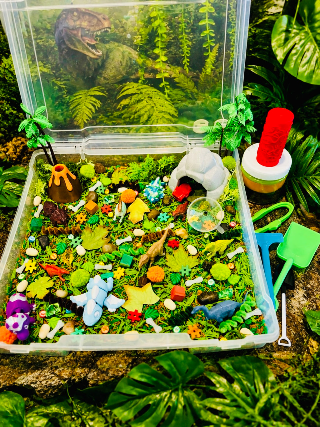 Dino Discovery Duo Kit