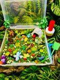 Dino Discovery Duo Kit