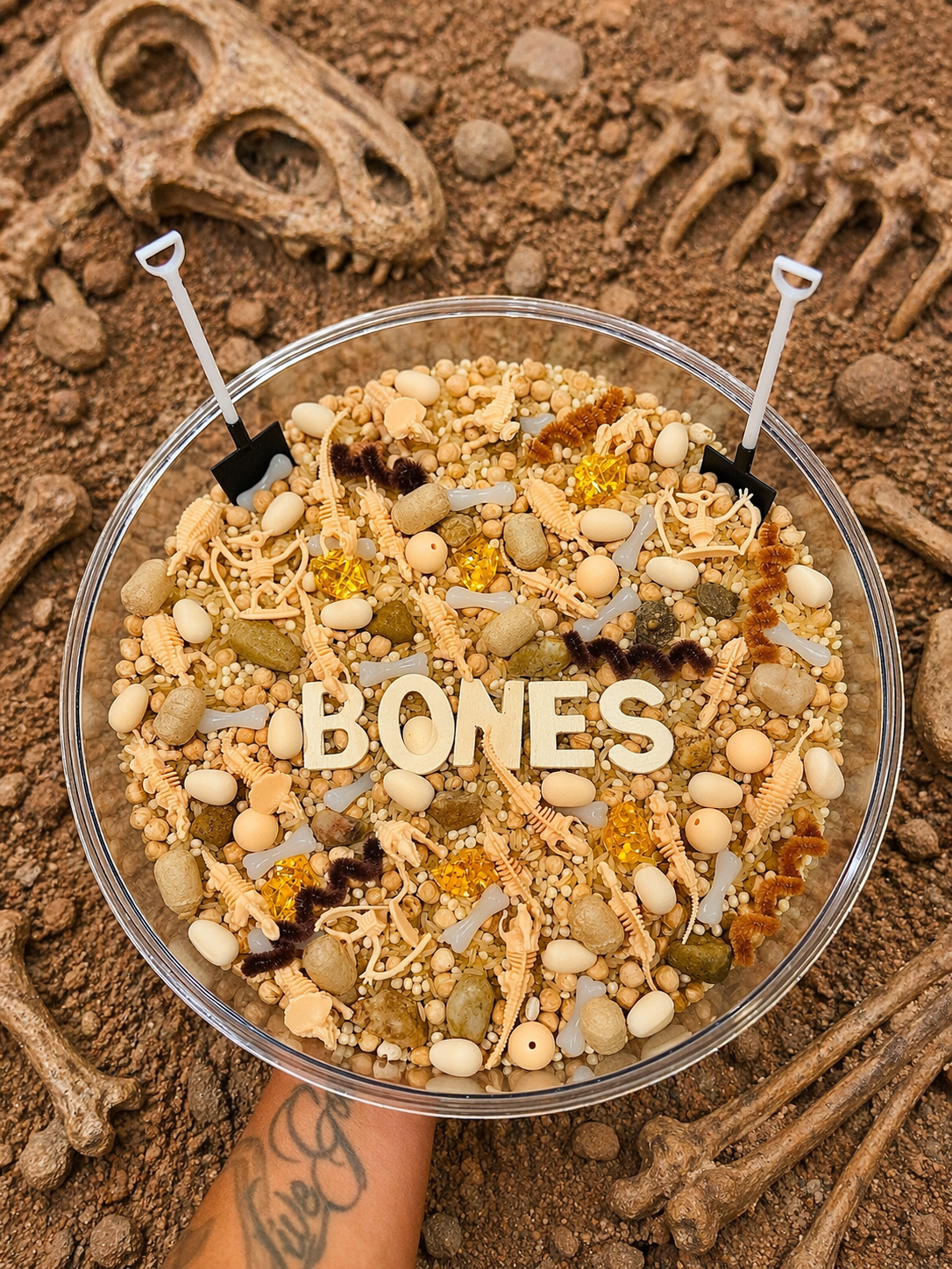 Dino Dig Sensory Kit