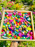 Garden Friends Sensory Kit