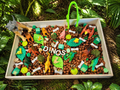 Dinosaur Sensory Kit