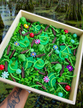 Swamp Sensory Kit