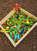 BUGS Sensory Kit