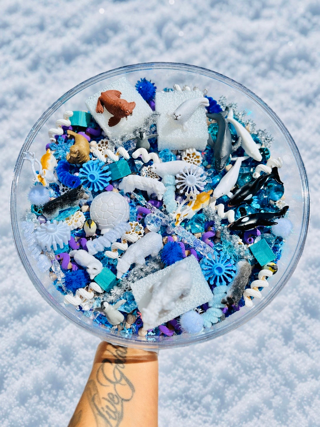 Artic Friends Sensory Kit